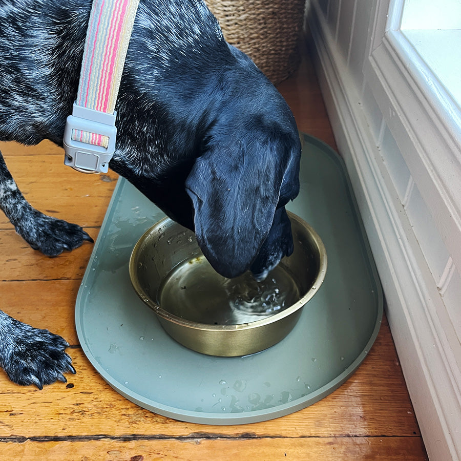 The Ol' Crumb Collector