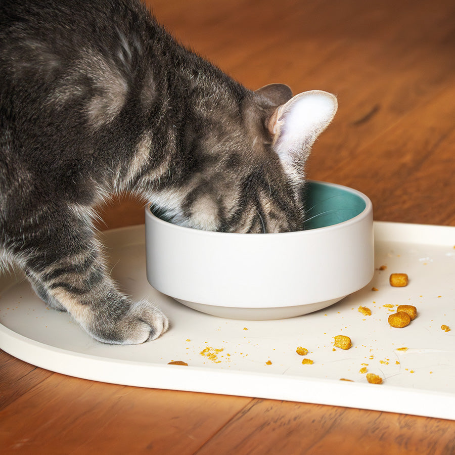 The Ol' Crumb Collector