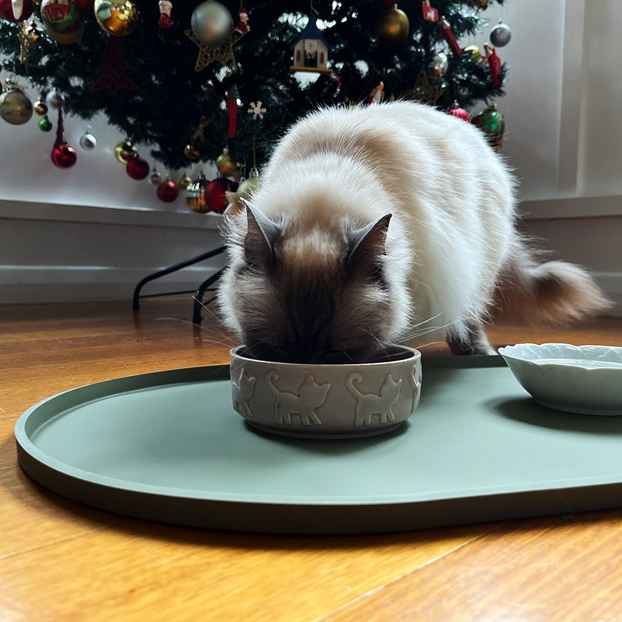 The Ol' Crumb Collector